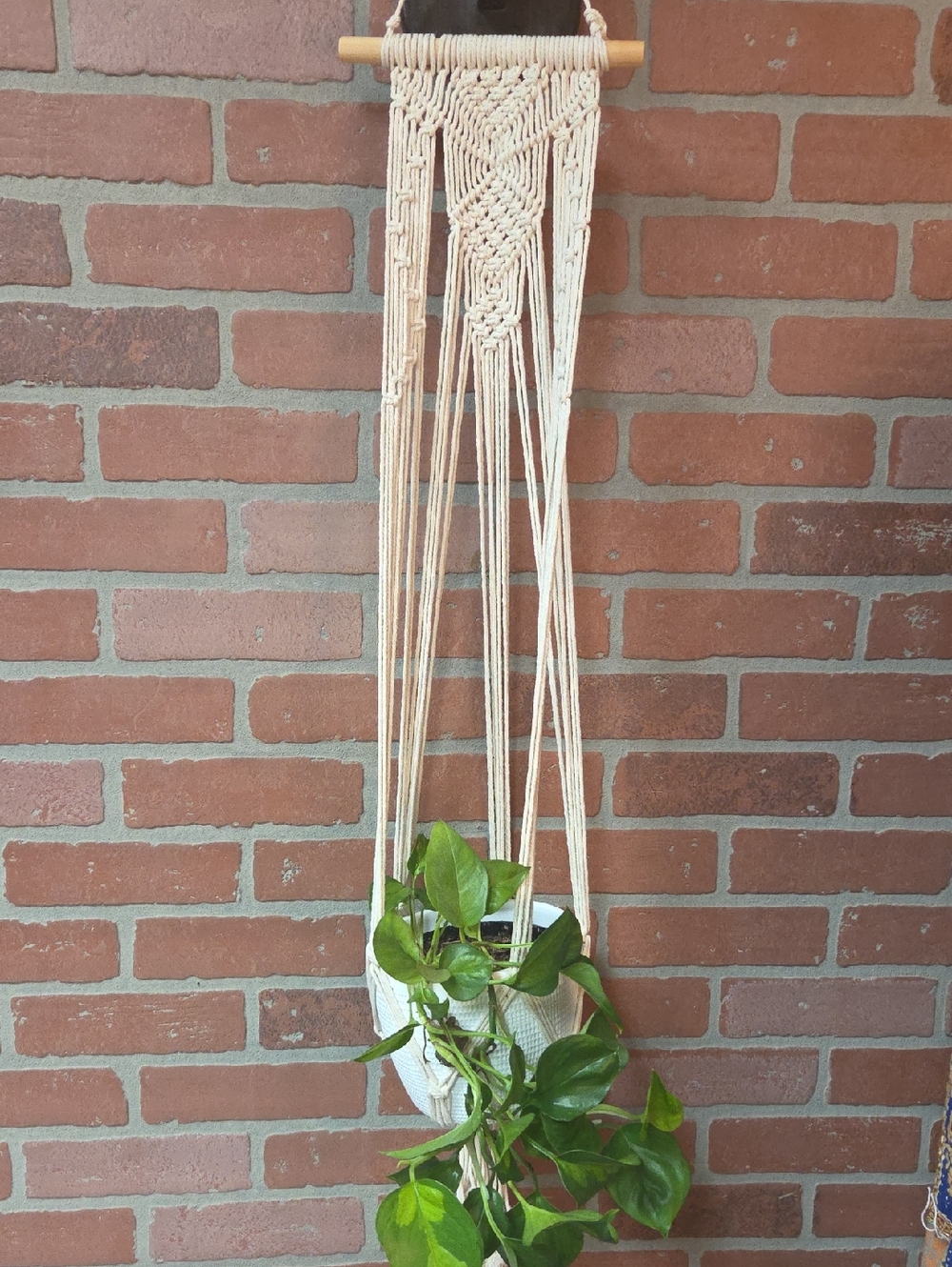Handcrafted Cream Macramé Plant Hanger - Boho Wall Decor